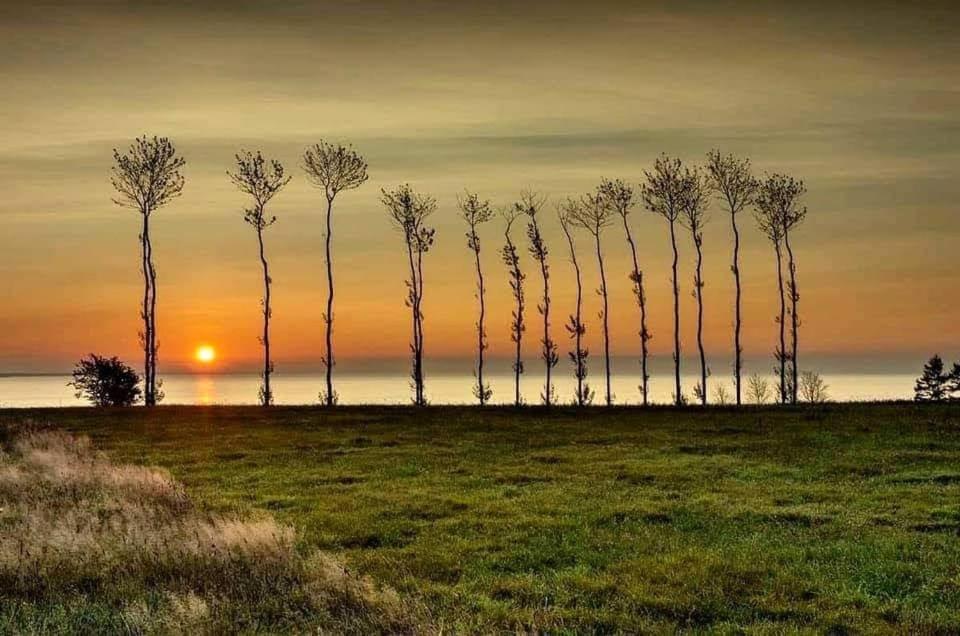 Domek Morski Swarzewo Εξωτερικό φωτογραφία